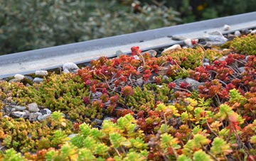 the cost of West Calder green roof installation