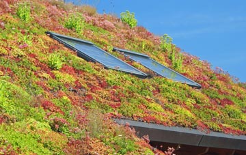 West Calder living roof systems